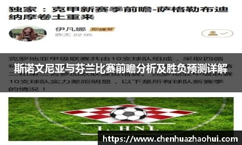 斯诺文尼亚与芬兰比赛前瞻分析及胜负预测详解
